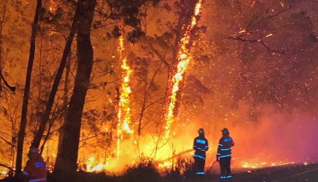 Злива в Австралії загасила ліс, який горів 74 дні