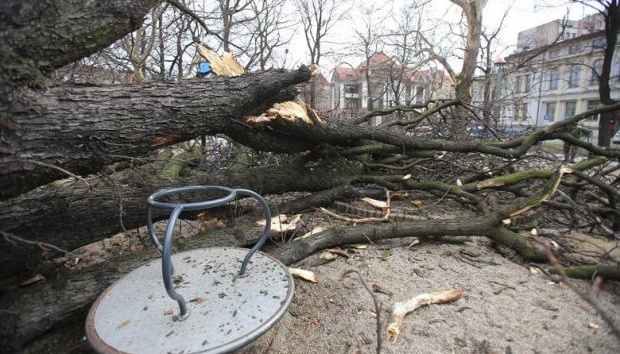 Буревій дістався Польщі: пошкоджені будинки, скасовані авіарейси
