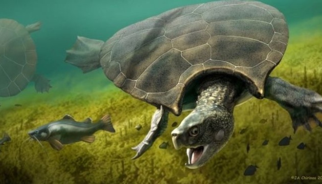 У Південній Америці знайшли рештки гігантської древньої черепахи з рогами