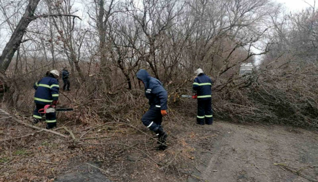Ураганний вітер на Миколаївщині повалив дерева та пошкодив мости Ураганний вітер на Миколаївщині повалив дерева та пошкодив мости