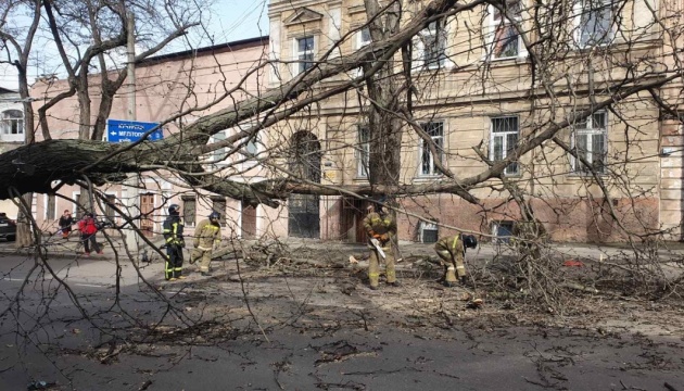 На Одещині долають наслідки негоди - вітер знеструмив 145 сіл