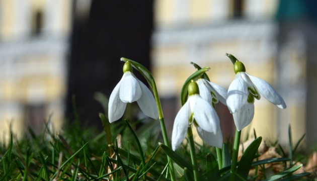 Three new temperature records set in Kyiv