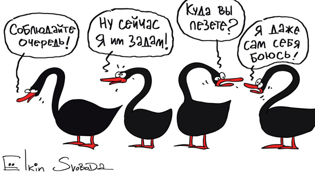  Карикатура / Сергей Ёлкин