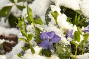 В Україні у середу подекуди дощ і мокрий сніг, вдень до +15°