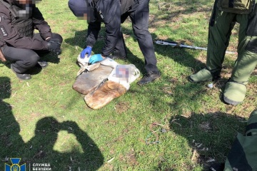 На окраинах Славянска нашли схрон с 30 кг пластида