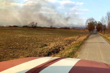 На Закарпатті горіла Долина нарцисів
