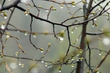 31 березня: народний календар і астровісник