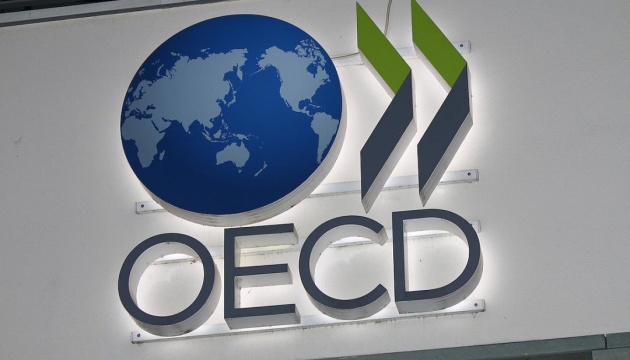 ОЭСР создала координационный офис для восстановления Украины