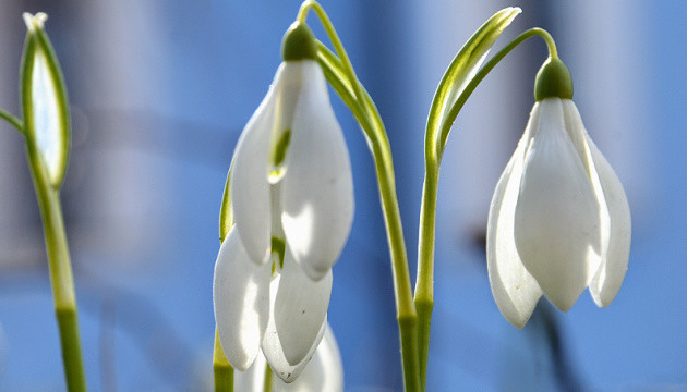 На вихідних буде без опадів, вдень прогріє до +15°