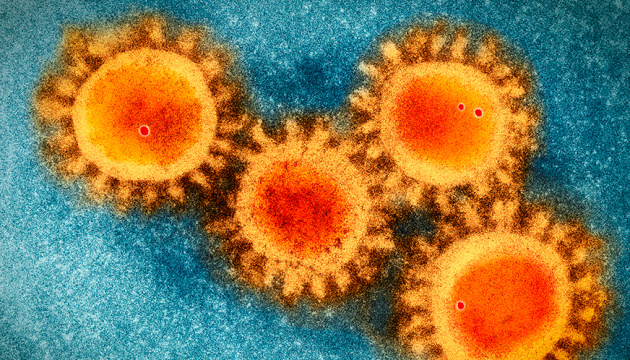 В Україні летальність від коронавірусу становить 2,6% - Ляшко
