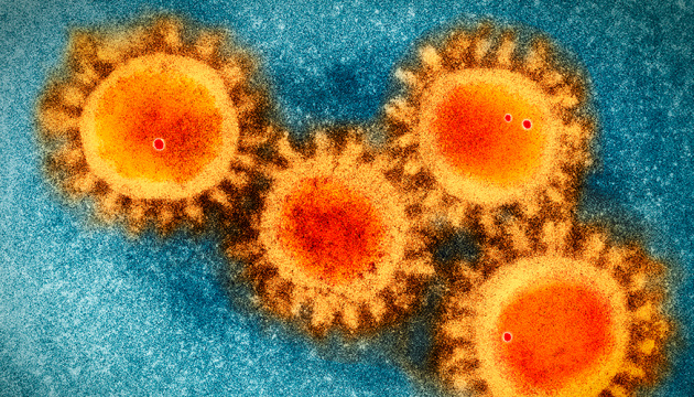 Five coronavirus cases confirmed in occupied Sevastopol 