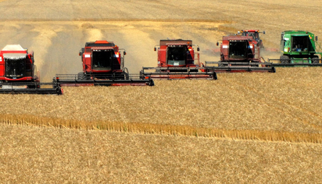 Урожай пшениці зросте на 10% - експерт