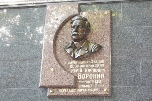 Юрій Вороний. Тримати розмах крил