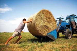 G7 pledges to help Ukrainian farmers