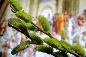 Християни східного обряду святкують Вербну неділю