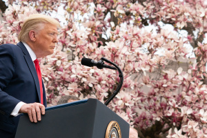 Чому Дональд Трамп атакує ВООЗ?