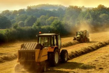 Na Ukrainie zebrano już 32,6 mln ton zboża - Ministerstwo Polityki Agrarnej