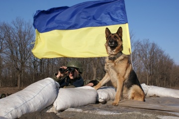 На службі у прикордонників - понад тисяча німецьких вівчарок