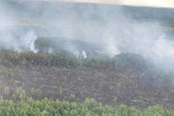Пожежа в Чорнобильській зоні охопила майже 100 гектарів