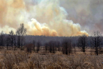 Se producen alrededor de 23 mil incendios en los ecosistemas de Ucrania desde principios de año
