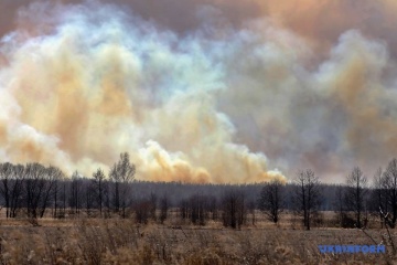 Пожары под Чернобылем: радиация в Киеве - в пределах нормы