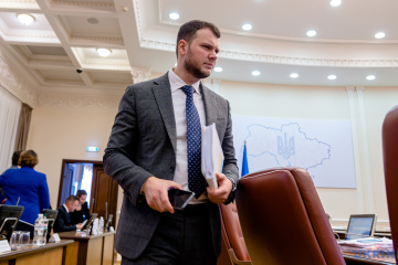 Криклий: Вместе с МИД договариваемся с другими странами о возобновлении авиаперевозок