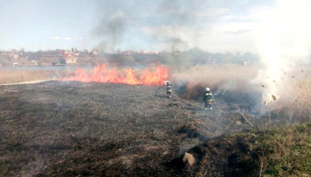 У національному парку на Одещині спалахнула масштабна пожежа 