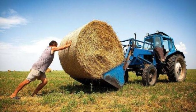 В Україні на фермерів припадає лише 10% агровиробництва 