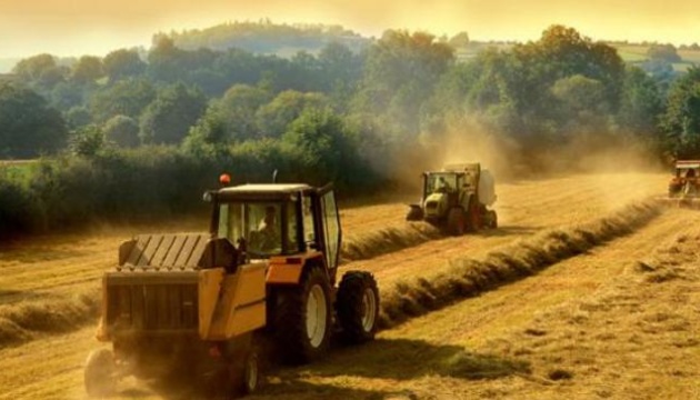 Ukrainian farmers gathered grain and leguminous crops from 83% of area – Economy Ministry