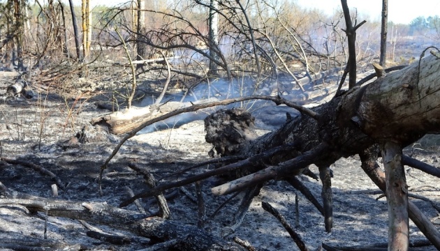 Les pompiers luttent contre le feu de forêt dans la zone d’exclusion de Tchernobyl