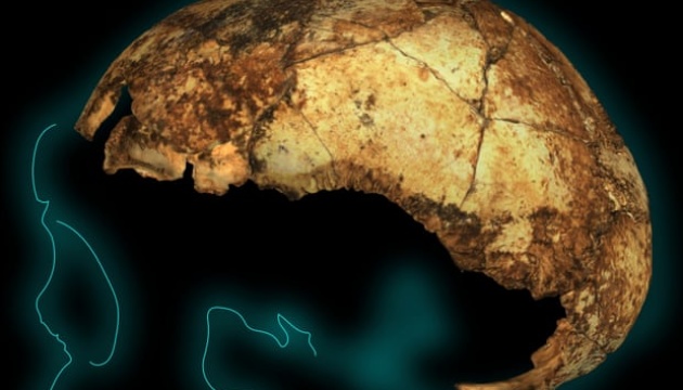 В Африці знайшли найдавніший череп предка Homo sapiens
