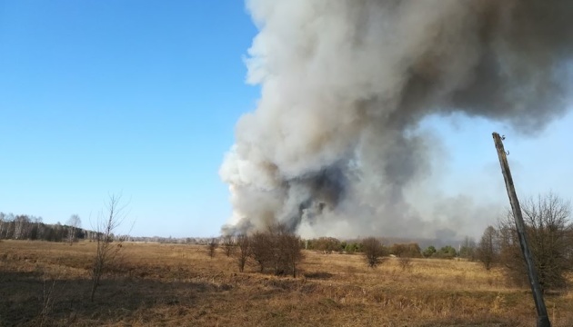 На Житомирщині локалізували лісові пожежі площею понад 200 гектарів