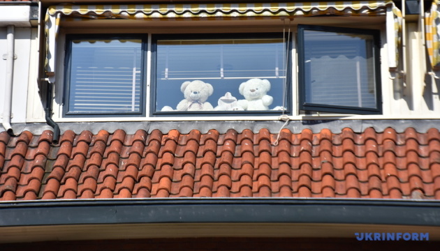 У Нідерландах під час карантину “полюють” на плюшевих ведмедиків у вікнах
