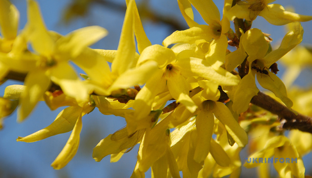 Україну сьогодні прогріє до +20°