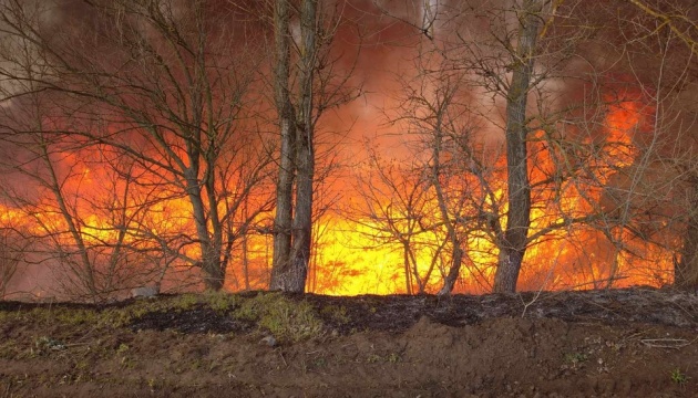 На Полтавщині лісові пожежі знищили понад 130 гектарів сухостою