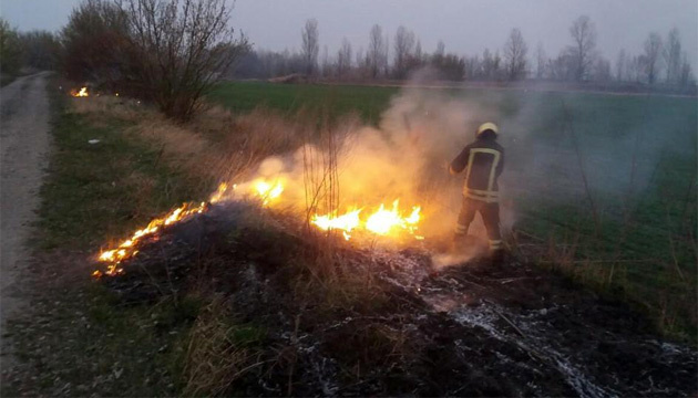 На Київщині згоріло понад 196 га сухостою