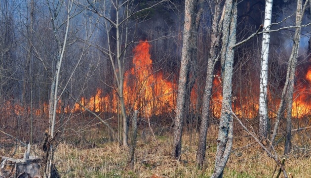 У Чорнобильській зоні досі гасять пожежі - уже сім днів поспіль