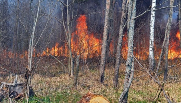 У Чорнобильській зоні вже тиждень гасять пожежу, радіаційний фон у нормі 