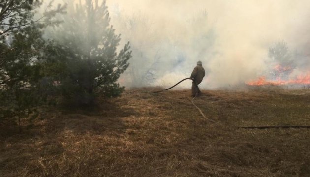 Лісові пожежі на Житомирщині гасять у двох районах