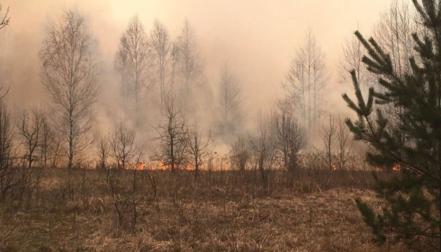 Пожежі у лісах Житомирщини: трава досі тліє на площі близько трьох тисяч гектарів