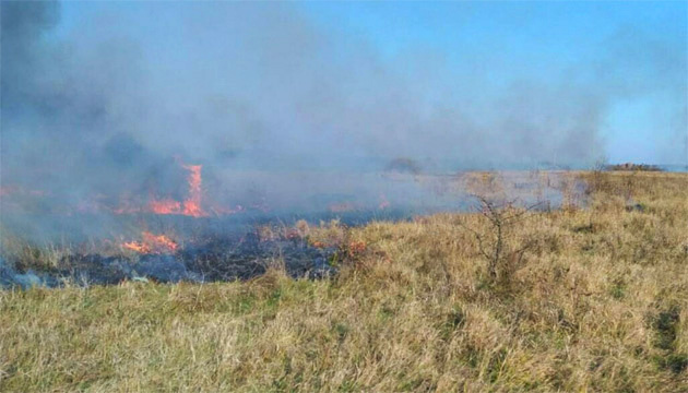 На Полтавщині протягом доби згоріло понад 30 га сухостою