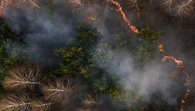 Чорнобильська зона: пожежі тривають на території шести лісництв