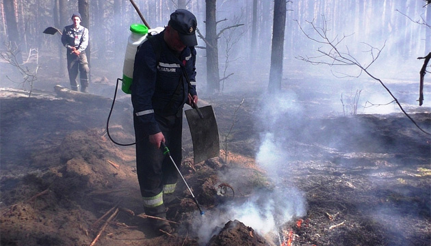 Масштабна лісова пожежа в Чернігівській області повністю ліквідована