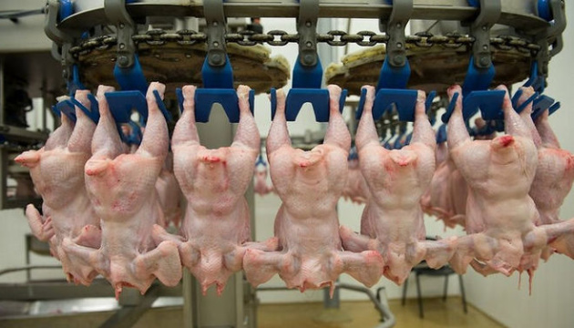 МХП звітує про збільшення на чверть експорту курятини у 2019 році