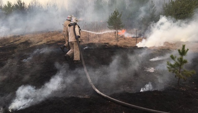 На Житомирщині ліквідували масштабну лісову пожежу, яка тривала 10 днів