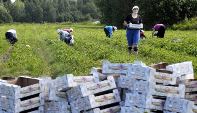 Фінляндія прийме близько 1500 сільгоспробітників, в основному з України