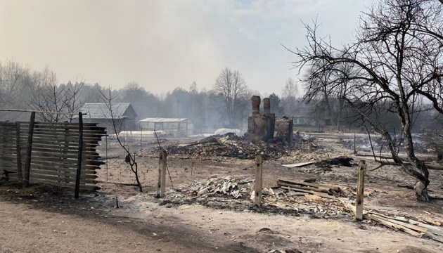 Пожежі на Житомирщині: знищені десятки будинків, горять близько 4 тисяч гектарів лісу
