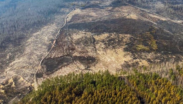 Рятувальники продовжують боротися з лісовими пожежами на Житомирщині