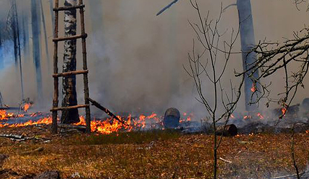 Les tourbières brûlent toujours dans la zone de Tchornobyl