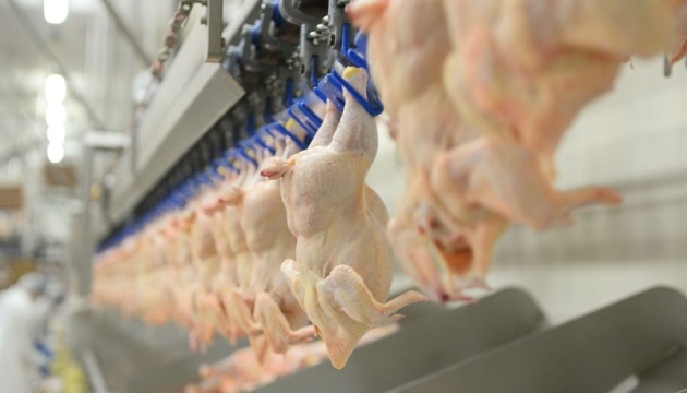 МХП не зменшуватиме постачання курятини на внутрішній ринок під час карантину